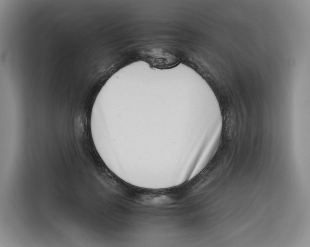 X0000113910747200910221333