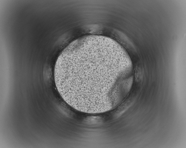 X0000113910748200910221333