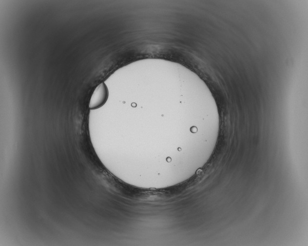 X0000113910750200910221333