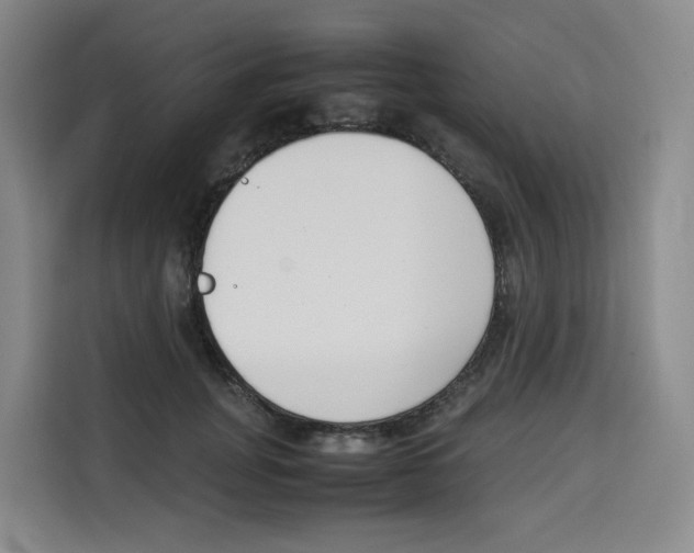 X0000113910751200910221333