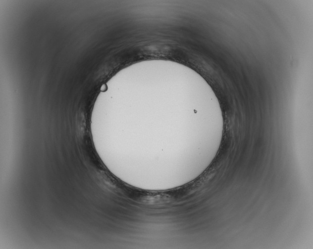 X0000113910752200910221333