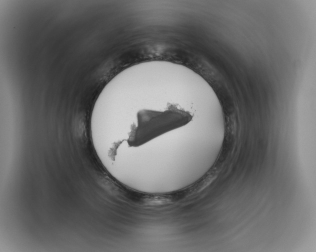 X0000113910754200910221333