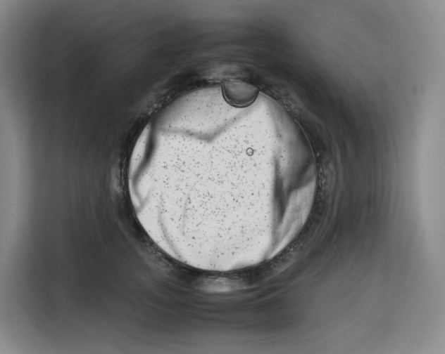 X0000113910755200910221333