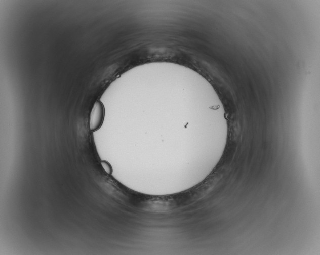 X0000113910756200910221333
