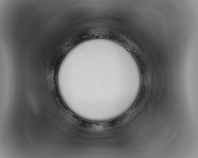 X0000113910757200910221333