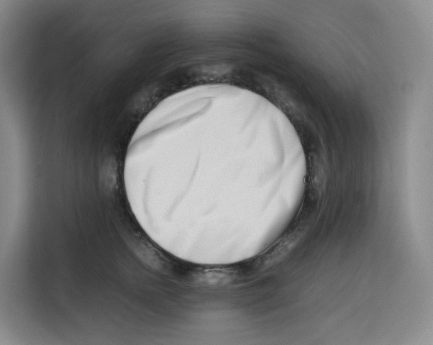 X0000113910758200910221333