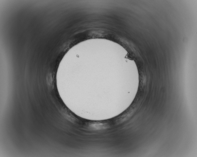 X0000113910759200910221333