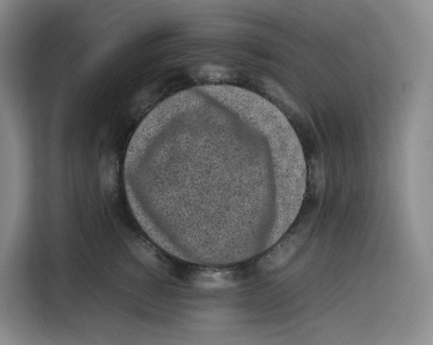 X0000113910760200910221333