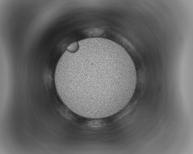 X0000113910761200910221333