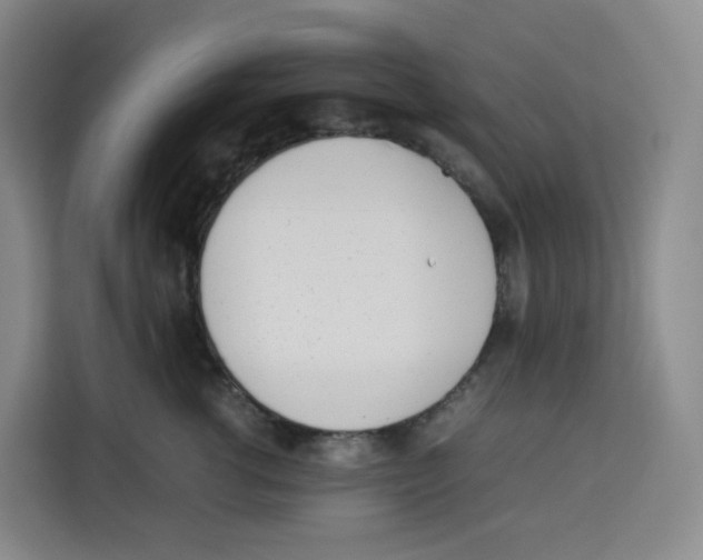 X0000113910762200910221333