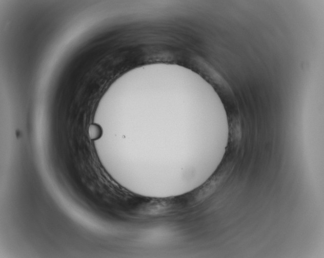 X0000113910764200910221333