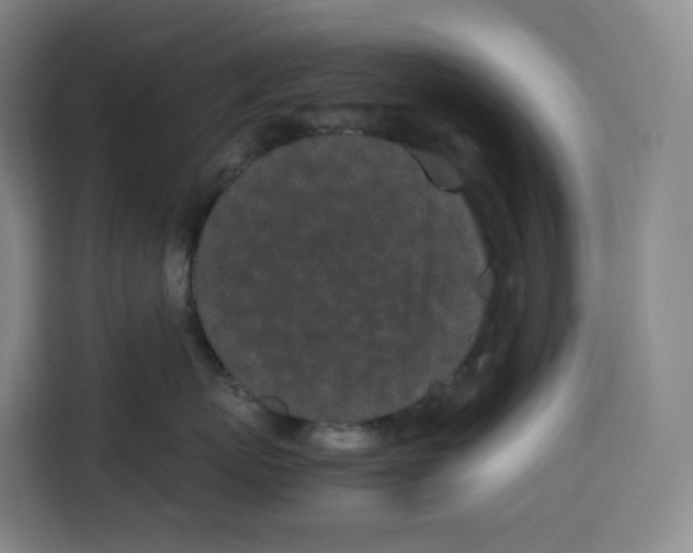 X0000113910767200910221333