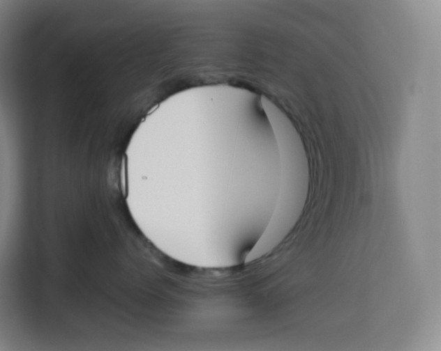 X0000113910768200910221333