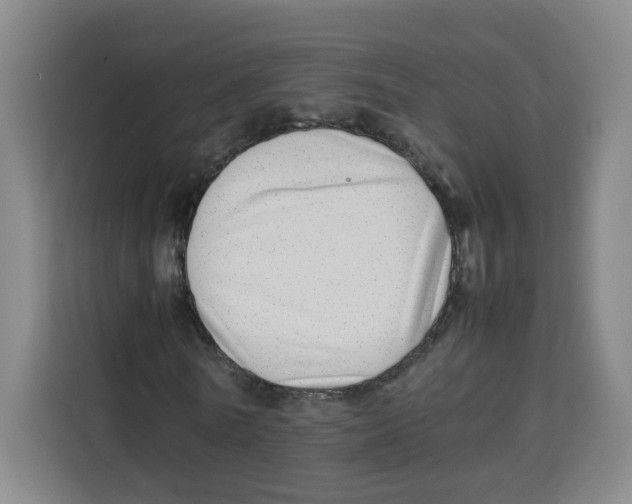 X0000113910770200910221333