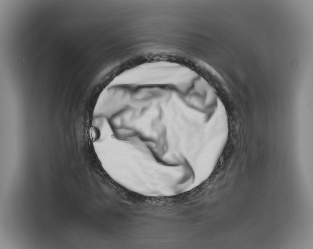 X0000113910775200910221333