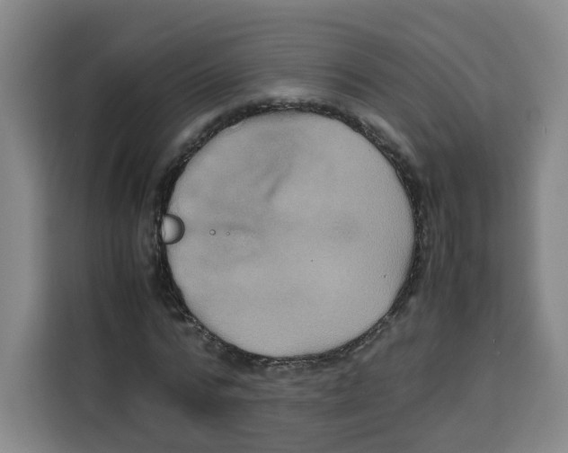 X0000113910776200910221333