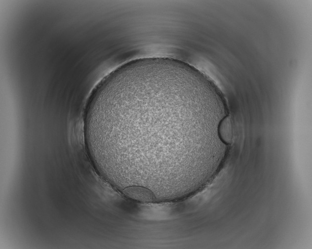 X0000113910781200910221333