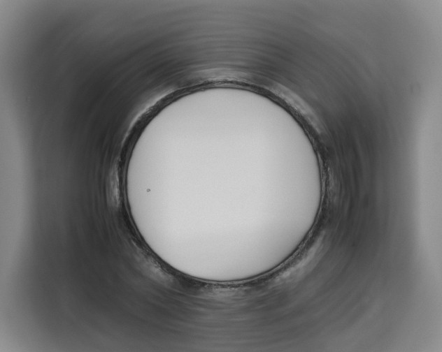 X0000113910782200910221333