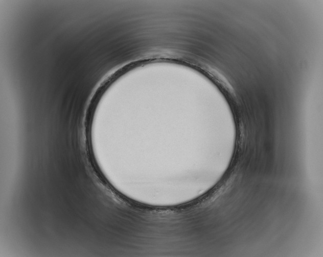 X0000113910784200910221332