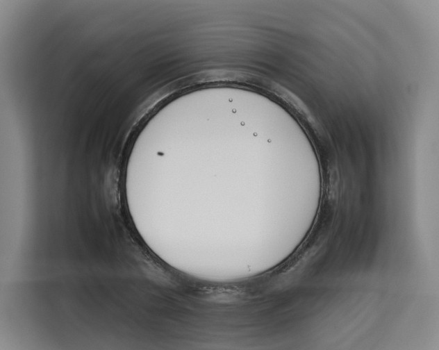 X0000113910786200910221332