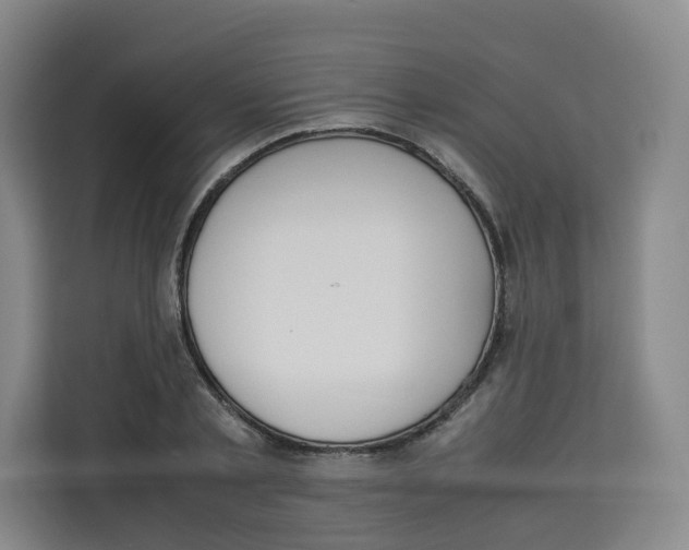X0000113910789200910221332