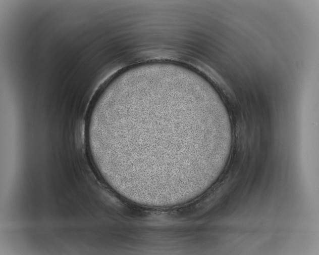 X0000113910790200910221332