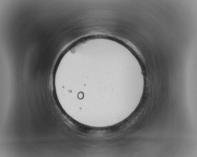 X0000113910791200910221332