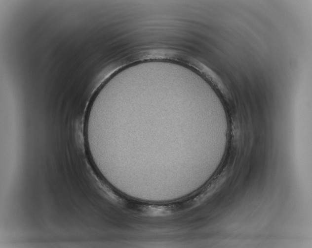 X0000113910794200910221332
