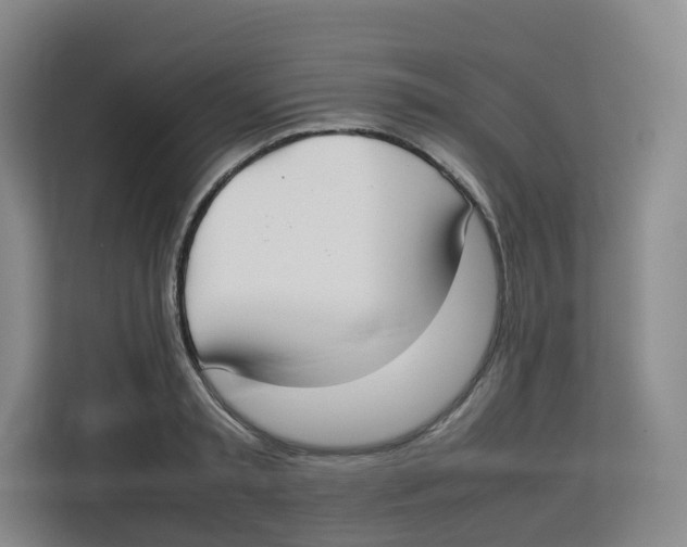 X0000113910797200910221332