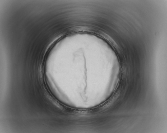X0000113910798200910221332