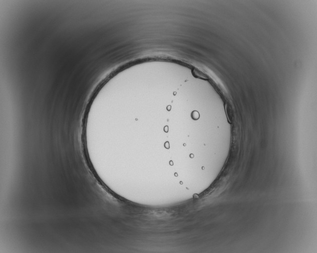 X0000113910799200910221332