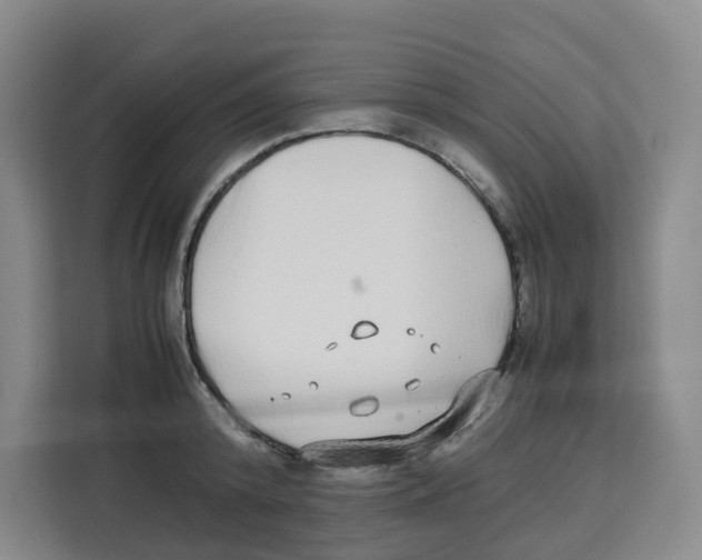 X0000113910800200910221332