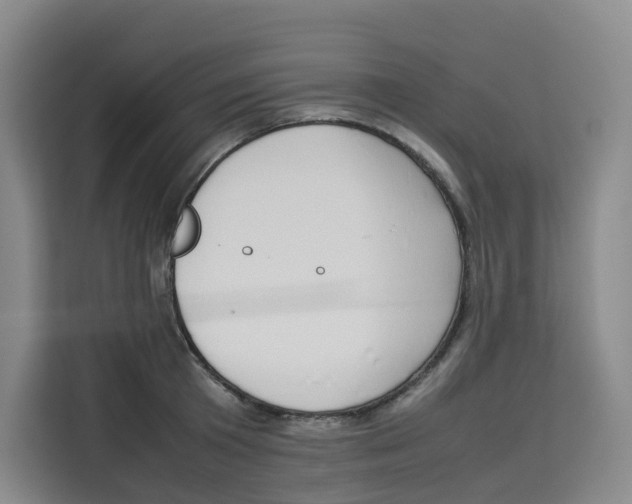 X0000113910801200910221332