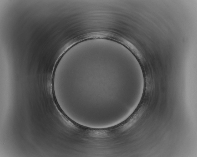 X0000113910802200910221332