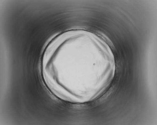 X0000113910804200910221332
