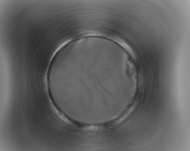 X0000113910806200910221332