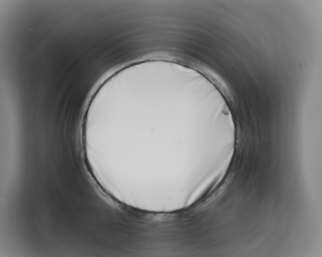 X0000113910808200910221332