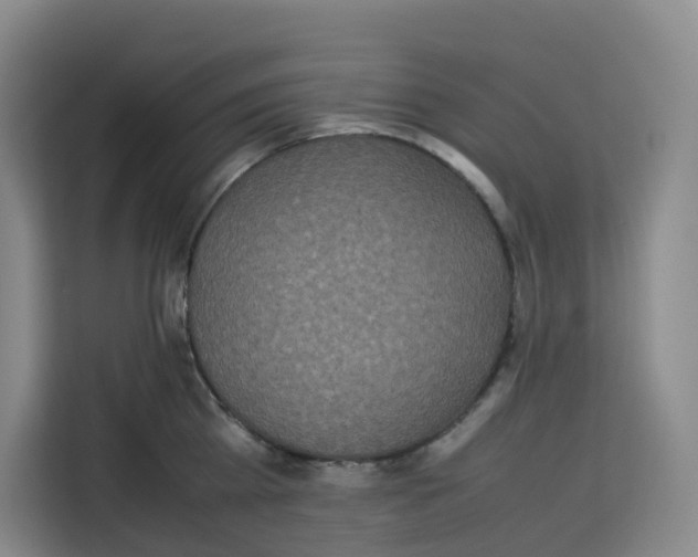 X0000113910809200910221332