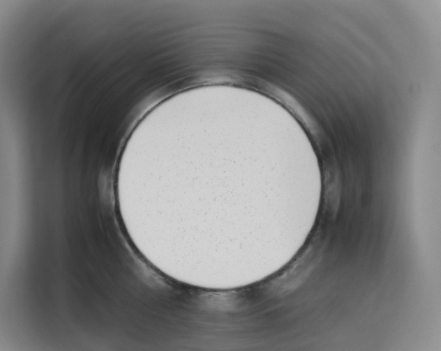 X0000113910810200910221332