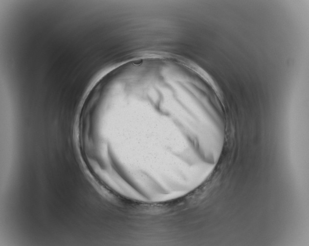X0000113910811200910221332