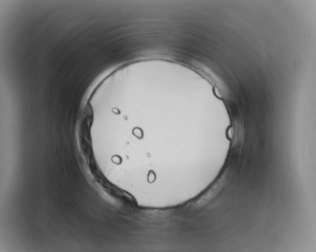 X0000113910812200910221332