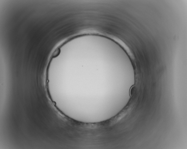 X0000113910815200910221332