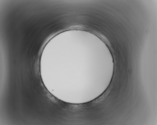 X0000113910816200910221332
