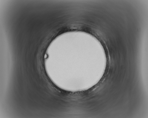 X0000113910817200910221331