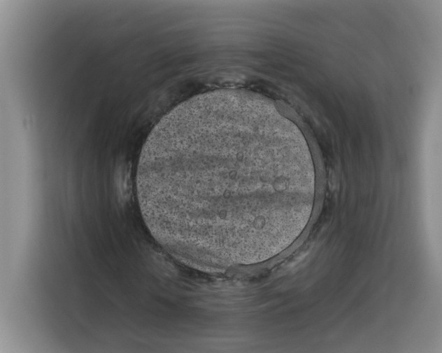 X0000113910818200910221331