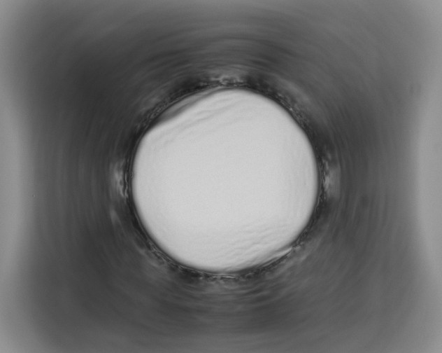 X0000113910819200910221331