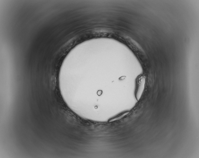 X0000113910821200910221331