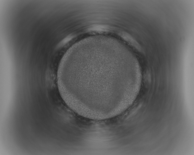X0000113910822200910221332