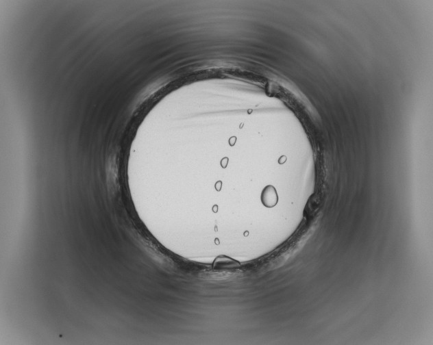 X0000113910826200910221332