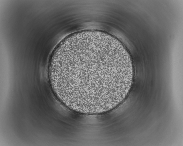 X0000113910828200910221332